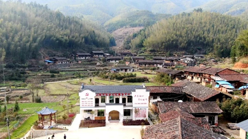 仙阳镇山际村:竹山下铺就致富路 时政 浦城新闻网
