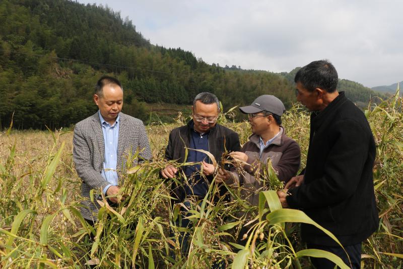 浦城新闻网